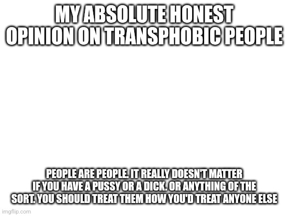 Blank White Template | MY ABSOLUTE HONEST OPINION ON TRANSPHOBIC PEOPLE; PEOPLE ARE PEOPLE. IT REALLY DOESN'T MATTER IF YOU HAVE A PUSSY OR A DICK. OR ANYTHING OF THE SORT. YOU SHOULD TREAT THEM HOW YOU'D TREAT ANYONE ELSE | image tagged in blank white template | made w/ Imgflip meme maker