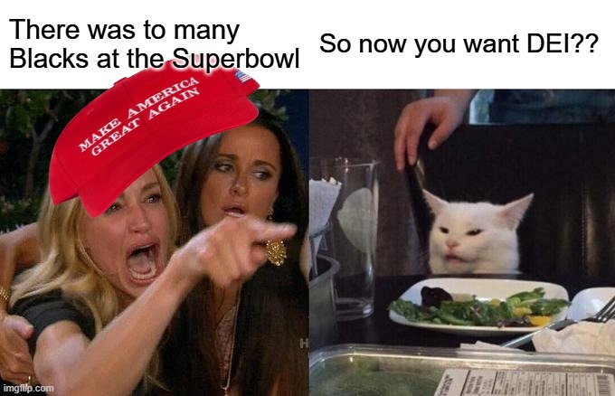 Real | There was to many Blacks at the Superbowl; So now you want DEI?? | image tagged in memes,woman yelling at cat | made w/ Imgflip meme maker