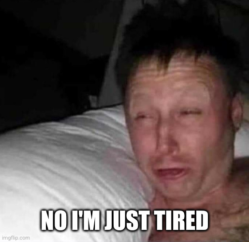 Sleepy guy | NO I'M JUST TIRED | image tagged in sleepy guy | made w/ Imgflip meme maker