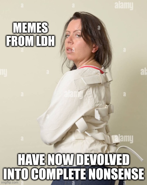 MEMES FROM LDH HAVE NOW DEVOLVED INTO COMPLETE NONSENSE | made w/ Imgflip meme maker