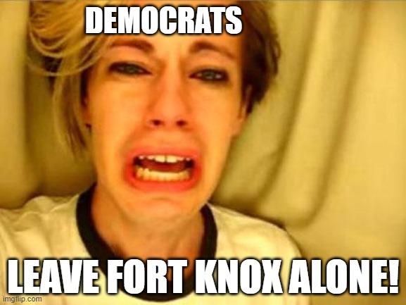 Leave Britney Alone | DEMOCRATS; LEAVE FORT KNOX ALONE! | image tagged in leave britney alone | made w/ Imgflip meme maker