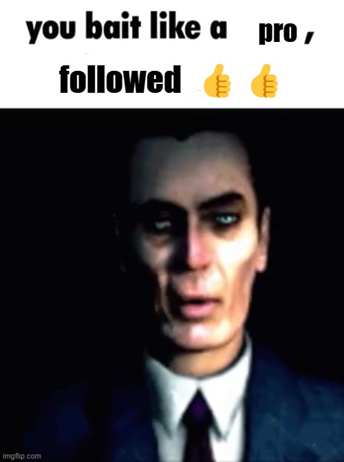 pro followed  ?? | image tagged in you bait like an noob blocked | made w/ Imgflip meme maker