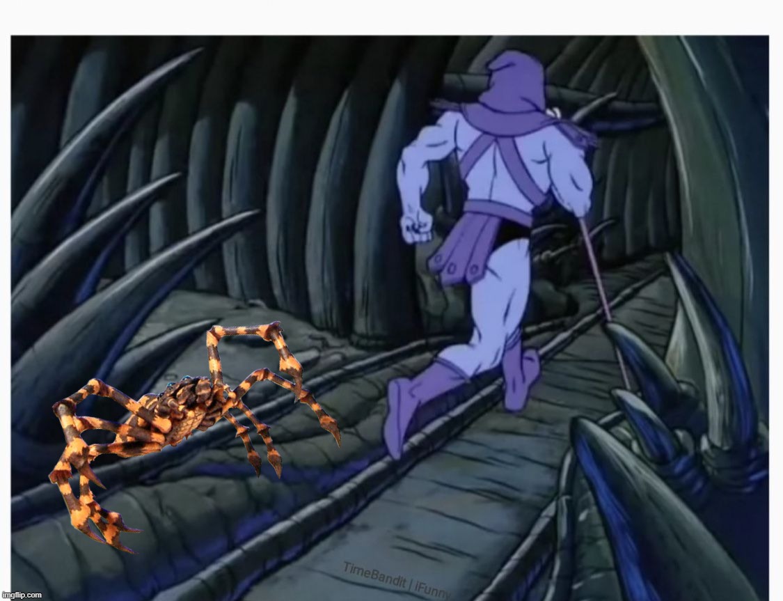 image tagged in skeletor running away | made w/ Imgflip meme maker