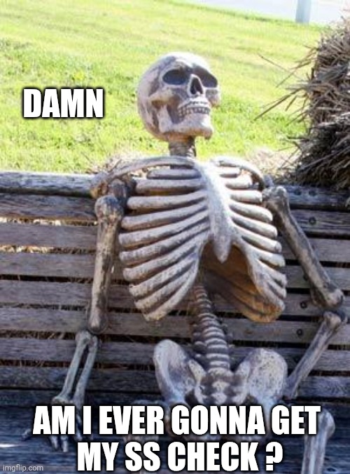 Waiting Skeleton Meme | DAMN AM I EVER GONNA GET
 MY SS CHECK ? | image tagged in memes,waiting skeleton | made w/ Imgflip meme maker