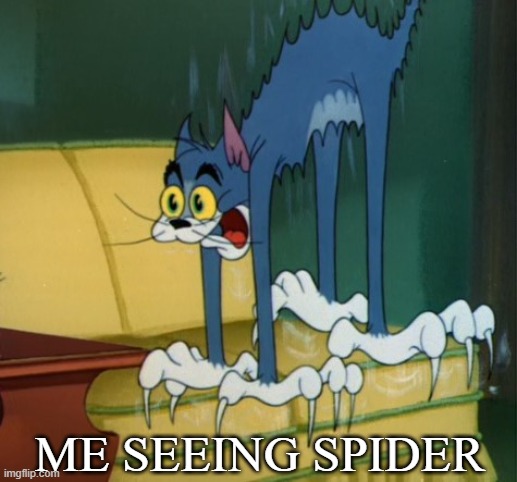 ME SEEING SPIDER | image tagged in scardy cat | made w/ Imgflip meme maker