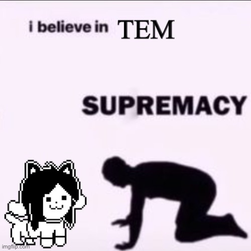 Tem | made w/ Imgflip meme maker