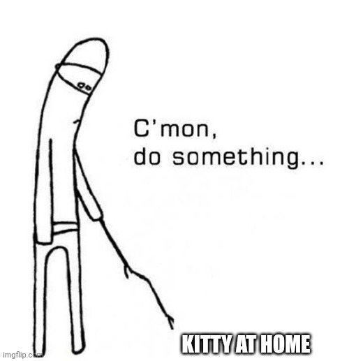 cmon do something | KITTY AT HOME | image tagged in cmon do something | made w/ Imgflip meme maker