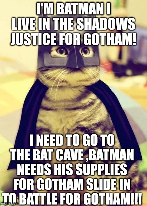 Batman cat | I'M BATMAN I LIVE IN THE SHADOWS JUSTICE FOR GOTHAM! I NEED TO GO TO THE BAT CAVE ,BATMAN NEEDS HIS SUPPLIES
FOR GOTHAM SLIDE IN TO BATTLE FOR GOTHAM!!! | image tagged in batman cat | made w/ Imgflip meme maker