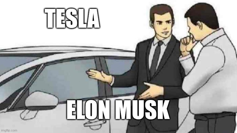 elon selling tesla | TESLA; ELON MUSK | image tagged in memes,car salesman slaps roof of car | made w/ Imgflip meme maker