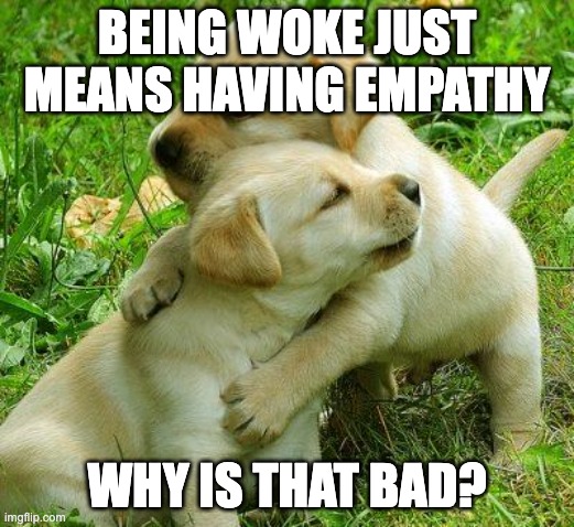 Woke | BEING WOKE JUST MEANS HAVING EMPATHY; WHY IS THAT BAD? | image tagged in puppy i love bro | made w/ Imgflip meme maker