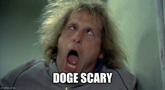 Scary Harry Meme | DOGE SCARY | image tagged in memes,scary harry | made w/ Imgflip meme maker