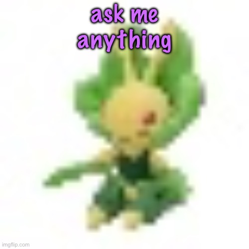 she ask on my me till i anything | ask me anything | image tagged in 144p leavanny | made w/ Imgflip meme maker