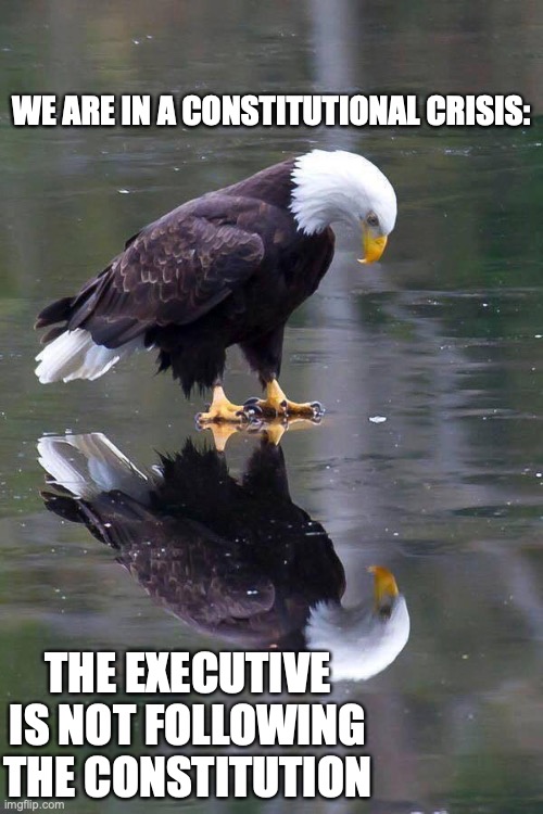 The executive is not following the constitution | WE ARE IN A CONSTITUTIONAL CRISIS:; THE EXECUTIVE IS NOT FOLLOWING THE CONSTITUTION | image tagged in donald trump,republicans,conservatives,maga,eagle,constitution | made w/ Imgflip meme maker