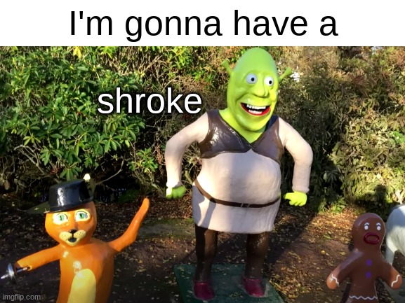 shroke | I'm gonna have a; shroke | image tagged in blank white template | made w/ Imgflip meme maker