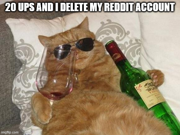 I'm willing to haggle, I'll probably do it even if nobody sees this lol | 20 UPS AND I DELETE MY REDDIT ACCOUNT | image tagged in funny cat birthday | made w/ Imgflip meme maker