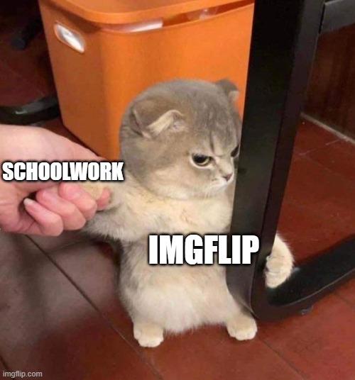 me | SCHOOLWORK; IMGFLIP | image tagged in i don't wanna come cat | made w/ Imgflip meme maker