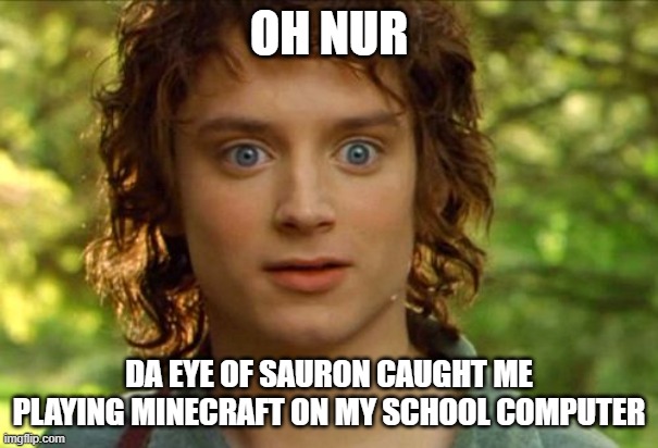 OH NUR DA EYE OF SAURON CAUGHT ME PLAYING MINECRAFT ON MY SCHOOL COMPUTER | image tagged in memes,surpised frodo | made w/ Imgflip meme maker