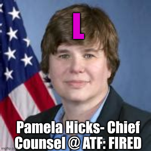 23+ Year Swamper | L; Pamela Hicks- Chief Counsel @ ATF: FIRED | image tagged in political meme,politics,funny memes,funny,not a dood | made w/ Imgflip meme maker