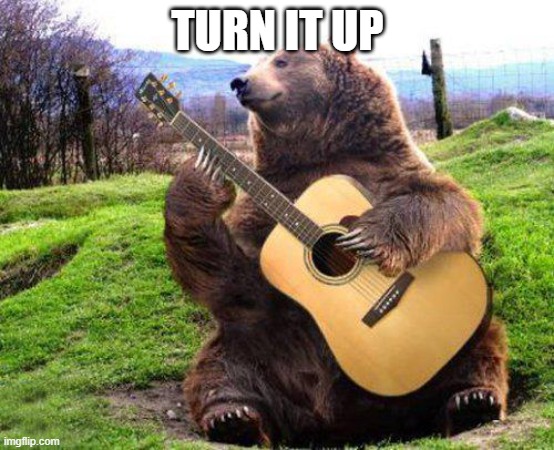 bear with guitar  | TURN IT UP | image tagged in bear with guitar | made w/ Imgflip meme maker