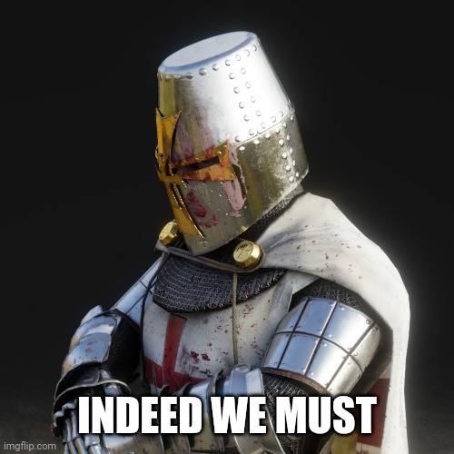 Paladin | INDEED WE MUST | image tagged in paladin | made w/ Imgflip meme maker