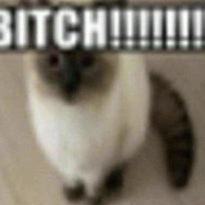 BITCH!!!!!!! Blank Meme Template