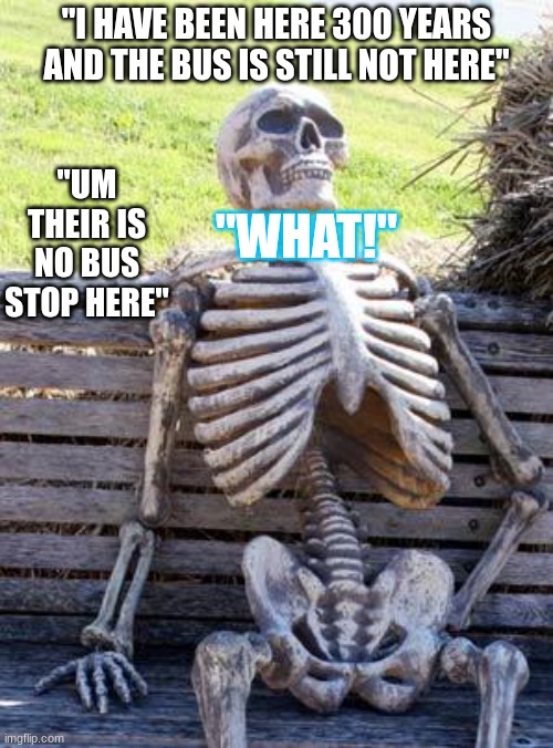 Waiting Skeleton | "I HAVE BEEN HERE 300 YEARS AND THE BUS IS STILL NOT HERE"; "UM THEIR IS NO BUS STOP HERE"; "WHAT!" | image tagged in memes,waiting skeleton | made w/ Imgflip meme maker