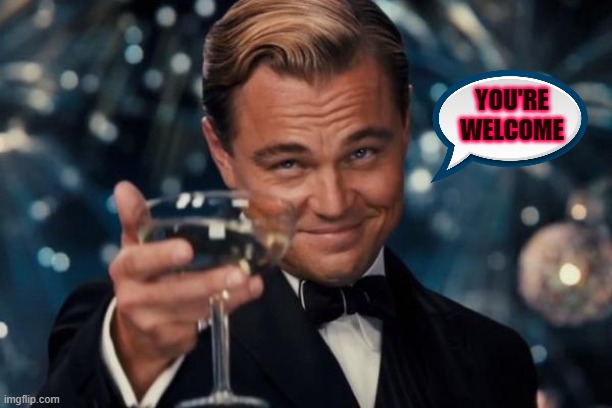 You're Welcome | YOU'RE WELCOME | image tagged in memes,leonardo dicaprio cheers | made w/ Imgflip meme maker