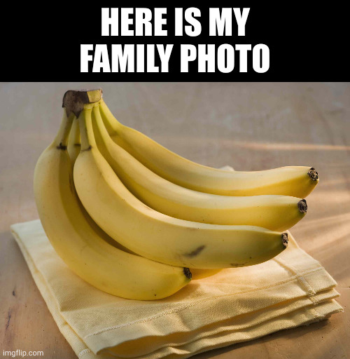 HERE IS MY FAMILY PHOTO | image tagged in memes,blank transparent square | made w/ Imgflip meme maker
