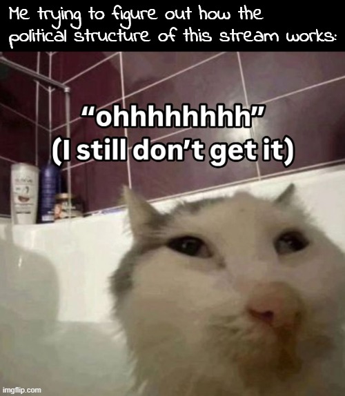 So if I win the battle I become Emperor or what? idk how the stream workz... | Me trying to figure out how the political structure of this stream works: | made w/ Imgflip meme maker