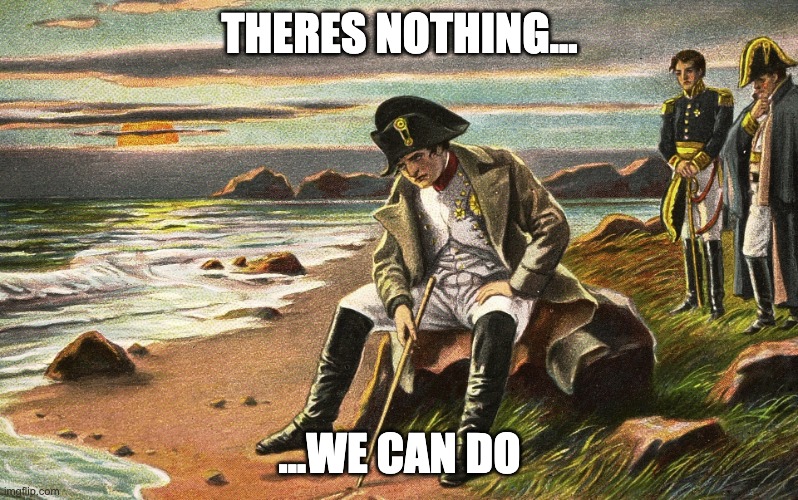 Napoleon | THERES NOTHING... ...WE CAN DO | image tagged in napoleon | made w/ Imgflip meme maker