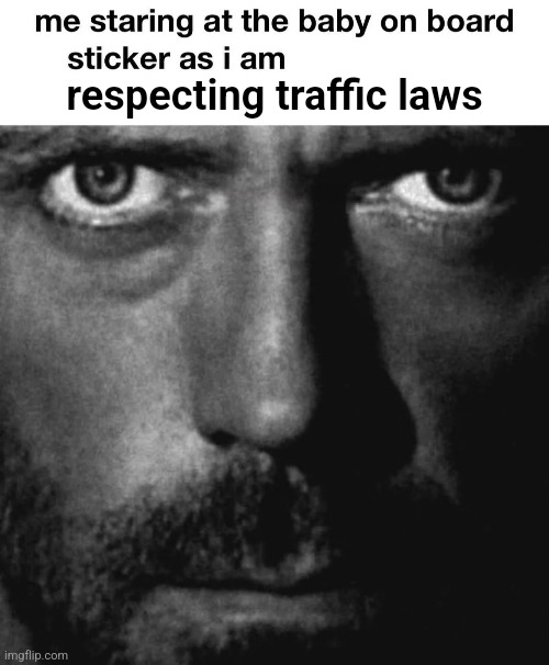 respecting traffic laws | made w/ Imgflip meme maker