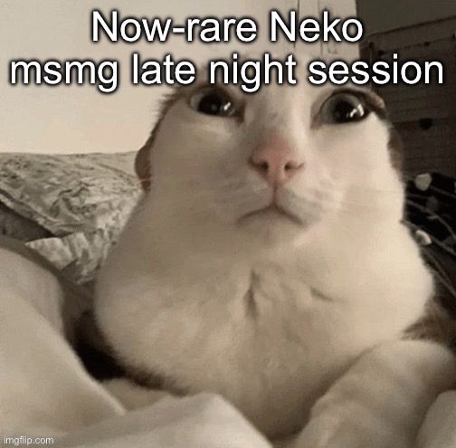 goober | Now-rare Neko msmg late night session | image tagged in goober | made w/ Imgflip meme maker