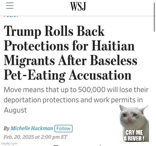 Kitty Sings Cry Me a River | image tagged in wsj,haitians | made w/ Imgflip meme maker