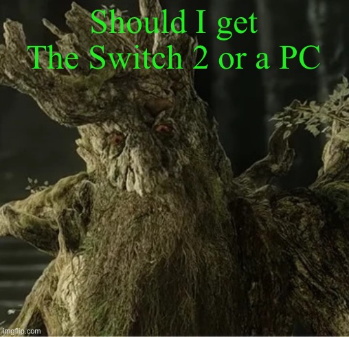 Hecate | Should I get The Switch 2 or a PC | image tagged in hecate | made w/ Imgflip meme maker