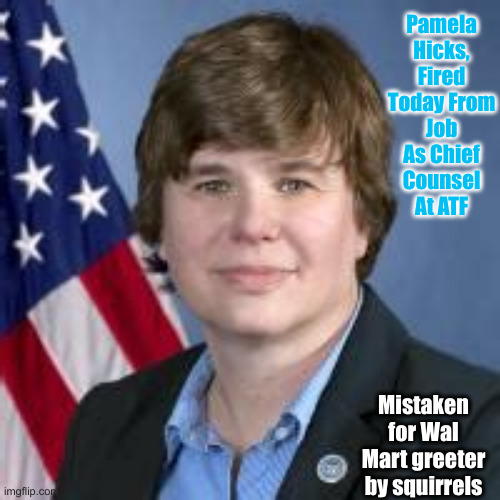 pamela hicks | Pamela Hicks, Fired Today From Job As Chief Counsel At ATF Mistaken for Wal Mart greeter by squirrels | image tagged in pamela hicks | made w/ Imgflip meme maker