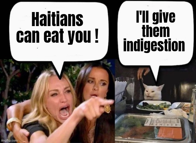 Don't eat the Cat | Haitians can eat you ! I'll give them indigestion | image tagged in don't eat the cat | made w/ Imgflip meme maker