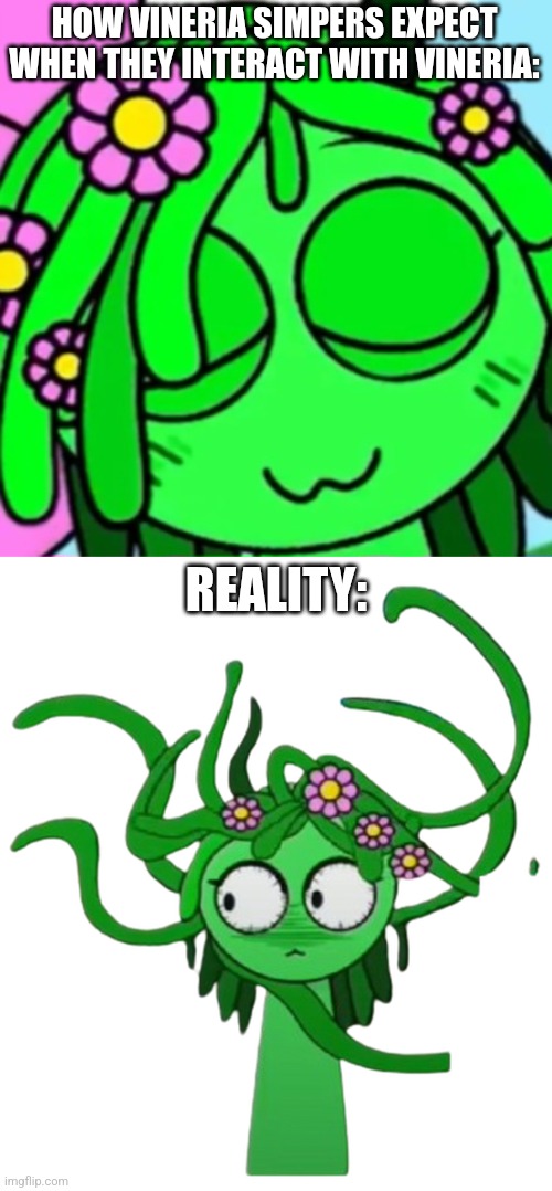 HOW VINERIA SIMPERS EXPECT WHEN THEY INTERACT WITH VINERIA:; REALITY: | image tagged in freaky vineria face 2,scared vineria | made w/ Imgflip meme maker