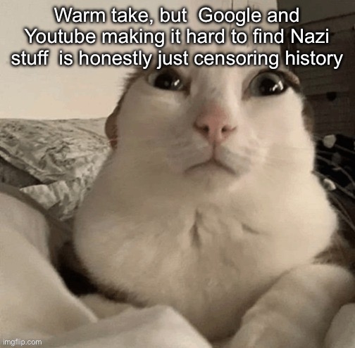 Like i wanna look at the propaganda other than the stuff on Wikipedia | Warm take, but  Google and Youtube making it hard to find Nazi stuff  is honestly just censoring history | image tagged in goober | made w/ Imgflip meme maker