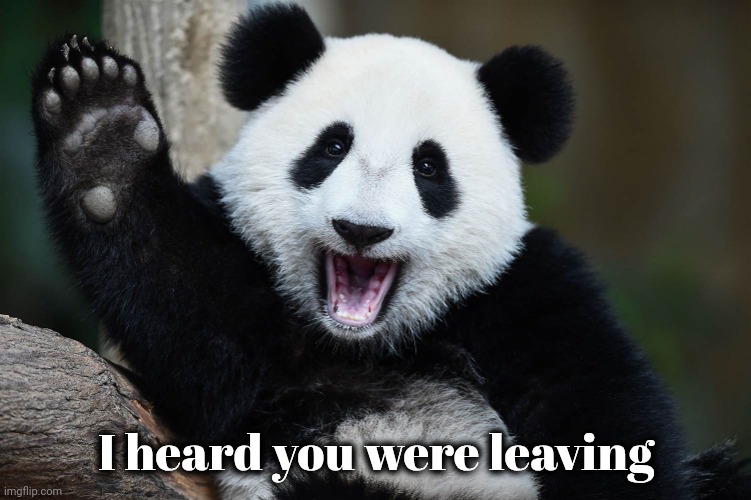 Bye Bye Panda | I heard you were leaving | image tagged in bye bye panda | made w/ Imgflip meme maker