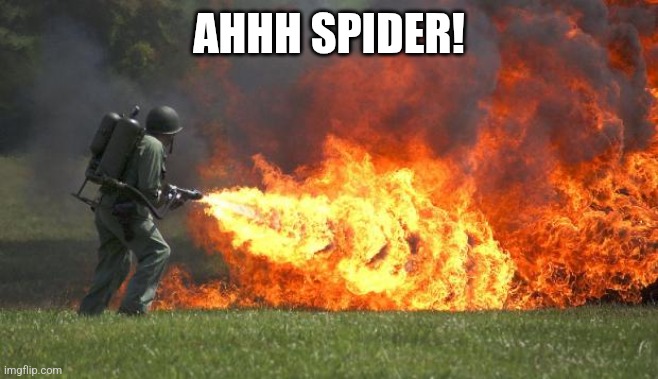 flamethrower | AHHH SPIDER! | image tagged in flamethrower | made w/ Imgflip meme maker