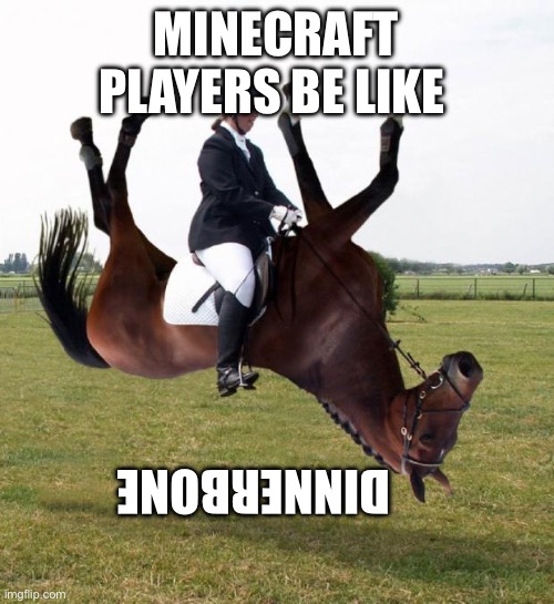 Horse upside down | MINECRAFT PLAYERS BE LIKE; DINNERBONE | image tagged in horse upside down | made w/ Imgflip meme maker