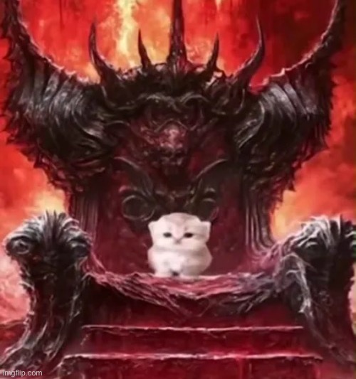 Kitty :3 | image tagged in kitty 3 | made w/ Imgflip meme maker