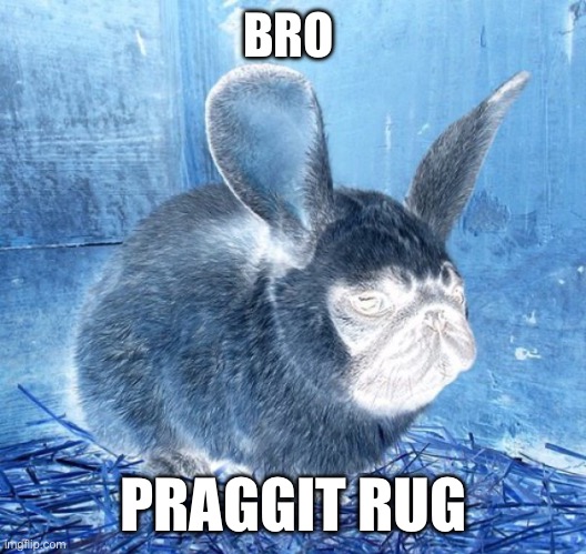 Praggit rug | BRO; PRAGGIT RUG | image tagged in rabbit pug,memes,shitpost,wtf,dogs,samurai wisdom | made w/ Imgflip meme maker