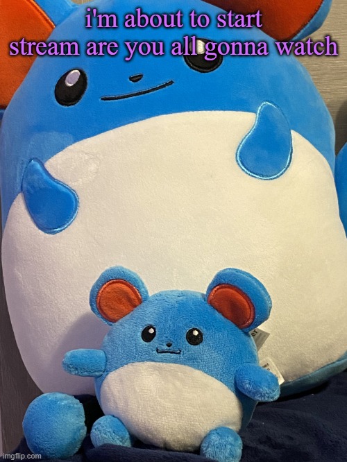 the dynamic Bhillip duo | i'm about to start stream are you all gonna watch | image tagged in the dynamic bhillip duo | made w/ Imgflip meme maker