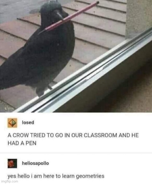 Student | image tagged in student,classroom,crow | made w/ Imgflip meme maker