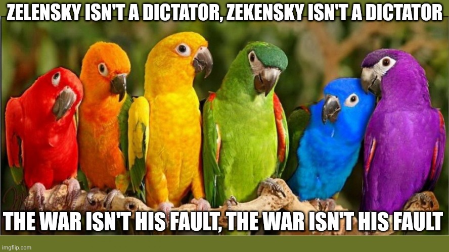 Name that parrot | ZELENSKY ISN'T A DICTATOR, ZEKENSKY ISN'T A DICTATOR; THE WAR ISN'T HIS FAULT, THE WAR ISN'T HIS FAULT | image tagged in parrots,leftist,liberal,ukrainian,nazi,dictator | made w/ Imgflip meme maker