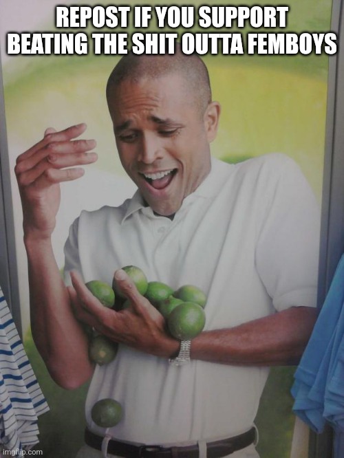 Why Can't I Hold All These Limes | REPOST IF YOU SUPPORT BEATING THE SHIT OUTTA FEMBOYS | image tagged in memes,why can't i hold all these limes | made w/ Imgflip meme maker