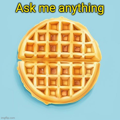 Waffle | Ask me anything | image tagged in waffle | made w/ Imgflip meme maker