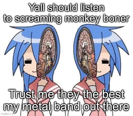 Yes that’s a real band | Yall should listen to screaming monkey boner; Trust me they the best my metal band out there | image tagged in lobotomy | made w/ Imgflip meme maker