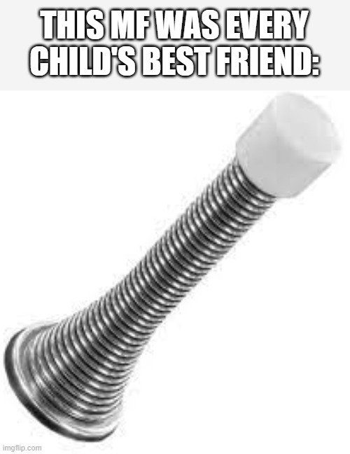 I loved playing with these | THIS MF WAS EVERY CHILD'S BEST FRIEND: | image tagged in door stopper,funny,memes,meme,funny memes,relatable | made w/ Imgflip meme maker